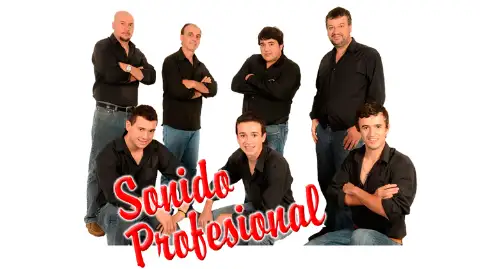 Sonido Profesional — artista para eventos