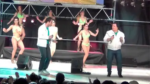 Los Delfines — artista para eventos