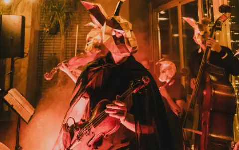 Wild Strings — artista musical para eventos
