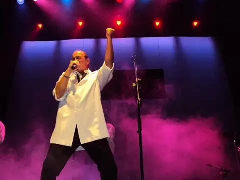 Tributo a Sergio Denis — artista para eventos