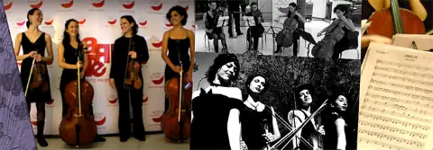 Moulin Quartet, show de música clásica — artista para eventos