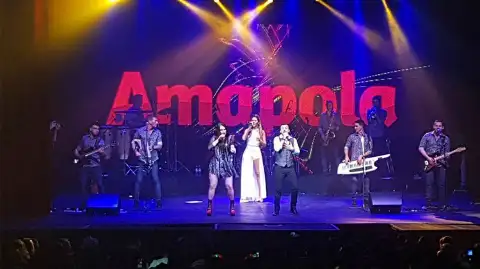 Amapola — artista musical para eventos